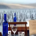 Le pinasse café et l'escale sont deux restaurants situés au cap ferret à la jetée Belisaire